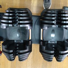 4WD 可変式ダンベル アジャスタブルダンベル 38K x 2