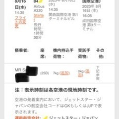 【ネット決済・配送可】Jetstar 関西〜成田 8/16-14...