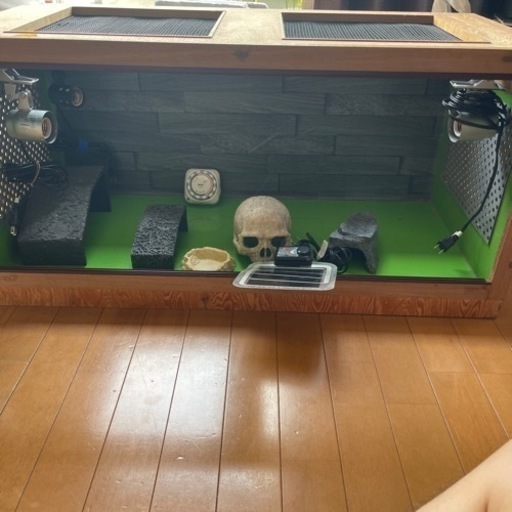 爬虫類ケージ