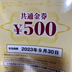 長島スパーランド3枚　チケット　パスポート