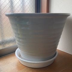 植木鉢（陶器）