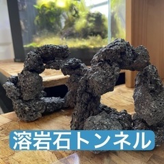 溶岩石 トンネル アクアリウム 水槽レイアウト