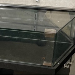 店舗用スリムガラスシヨーケース 黒 (ネット無し)