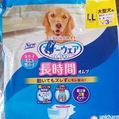 犬用のオムツ