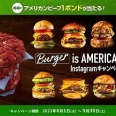アメリカンビーフのハンバーガー食べたい🍔🇺🇸