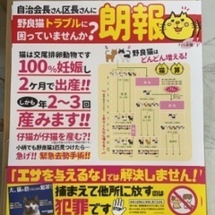 不幸な生命を減らしながら、人に貢献する地域猫活動 − 広島県