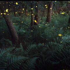 フォトパネル⑤■北九州■A2サイズ■フレーム付