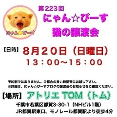 8月20日(日)🌸にゃん☆ぴーす猫の譲渡会🌸「アトリエTOM」JR都賀駅東口徒歩4分の画像
