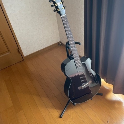 エレアコ　ARIA FET-F2/BnG BK(Black)