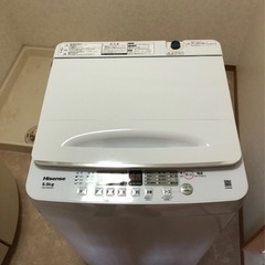 洗濯機5.5kg 2023年製 HW-55E2W Hisense ハイセンス