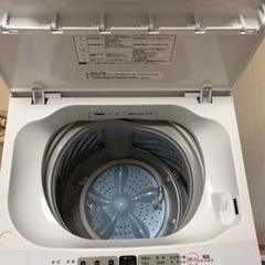 洗濯機5.5kg 2023年製 HW-55E2W Hisense ハイセンス