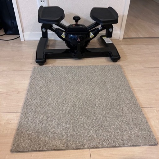 トーキョースポーツ 【18日まで割引】オアシス ツイストステッパー