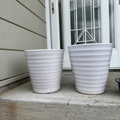 決まりました白い陶器の植木鉢