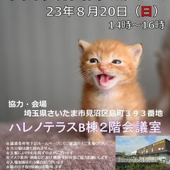 【さいたま市】8/20ハレノテラス保護猫譲渡会