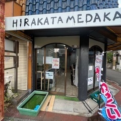 枚方市初のメダカ専門店