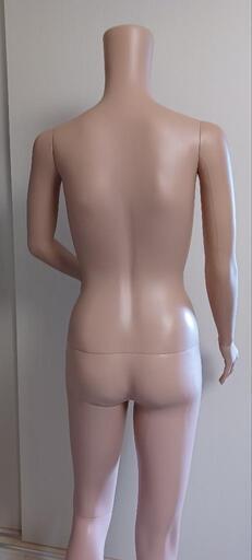 値下げ　全身トルソー　美品　ヘッドあり