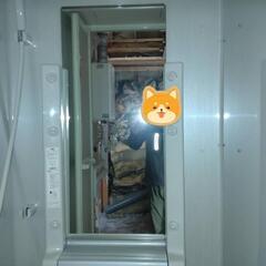 シャワーユニット‼️