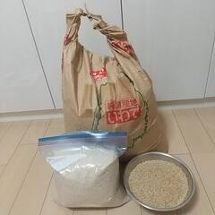米 令和4年産玄米19.6㎏+白米3㎏