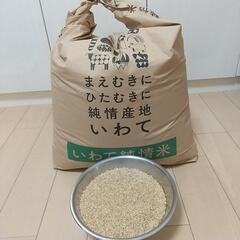 米 令和4年産 玄米20㎏