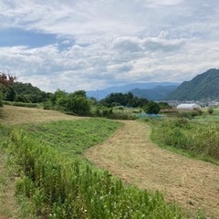 【ネット決済】お家の庭・畑、休耕地、空地、管理地、草刈り行います！