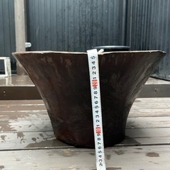 一本木くり抜き鉢