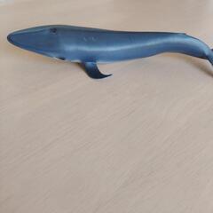 子供用品　おもちゃ　フィギュア　クジラ