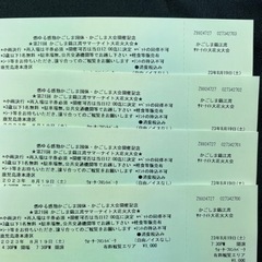 🎆8/19サマーナイト花火大会チケット（購入予定者決定）