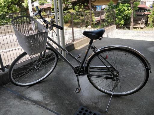 自転車 シルバー 26インチくらい