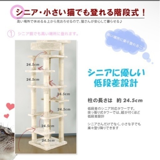 キャットウォーク最終値下げ13000➡️10000