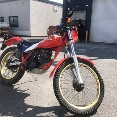 TLR200 ホンダ　バイク　200cc