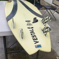 サーフボードオーストラリアDMS ESTAL EAT CAT