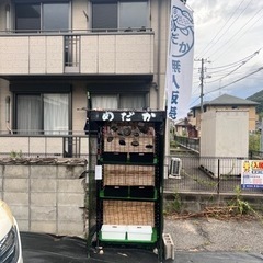 めだか　お安く譲ります　本家血統　本家直系　極上