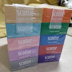スコッティティッシュ―5箱×２