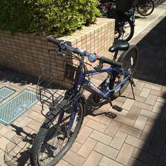 【ネット決済】子供用自転車ドライド S3 246HD-L 24イ...