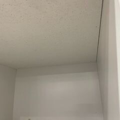 クラフトコガ　ラルフ　ミドルキッチンボード