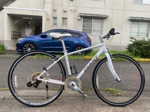 二胡 蘇州琴藝 本蛇皮 セミハードケース付き