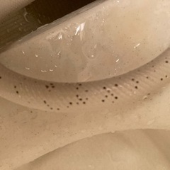 シャワーホースのカビの画像