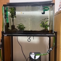 水槽立ち上げセット早い者勝ち！！