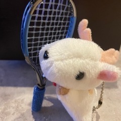 軟式テニスしませんか？🎾