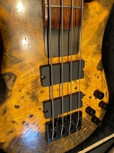 Spector NS-4H2 (NS4H2) ベース ベース Spector USA NS-4H2 Spector