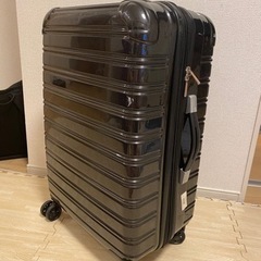 1〜3泊用 スーツケース 黒