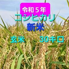 【新米①】三重県　コシヒカリ　30キロ　玄米　令和5年