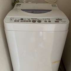 洗濯機（5.5kg）