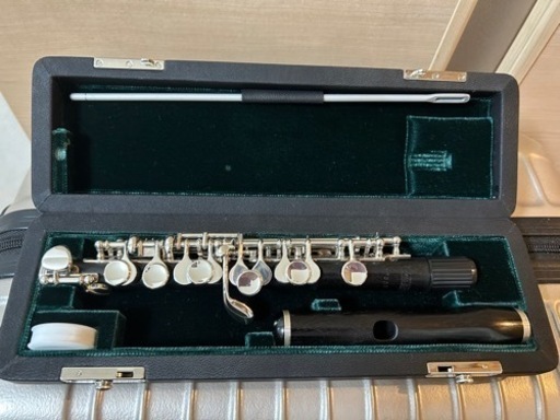 P.Hamming フィリップ ハンミッヒ650/2 選定品