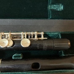 P.Hamming フィリップ ハンミッヒ650/2 選定品