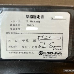 P.Hamming フィリップ ハンミッヒ650/2 選定品