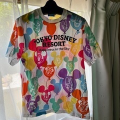 【ネット決済・配送可】ディズニーランドのTシャツ