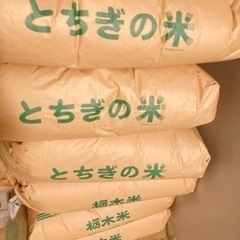 令和4年産　ミルキークイーン