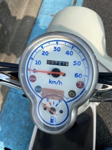 可愛い　ビーノ入りました