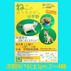 9/16(土)ねこのおうちさがし＠平野